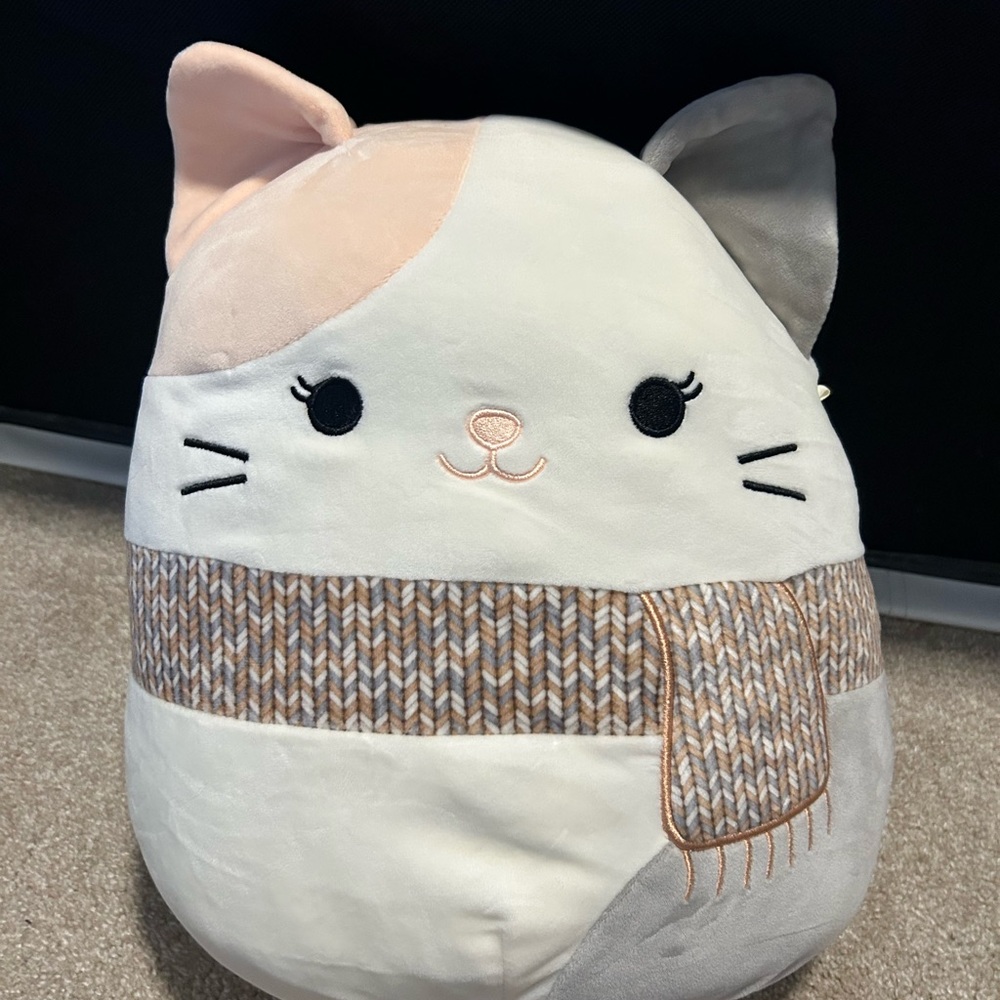 Camette the cat Squishmallow